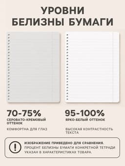 Тетрадь для нот А4, 24 листа Calligrata, вертикальная