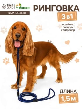 Ринговка для собак, 150×0.6 см, с вертлюгом, синяя, чёрная