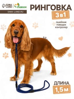 Ринговка для собак, 150×0.6 см, с вертлюгом, синяя, чёрная