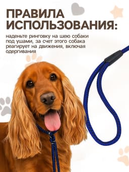 Ринговка для собак, 150×0.6 см, с вертлюгом, синяя, чёрная