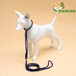 Ринговка для собак, 150×0.6 см, с вертлюгом, синяя, чёрная