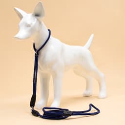 Ринговка для собак, 150×0.6 см, с вертлюгом, синяя, чёрная