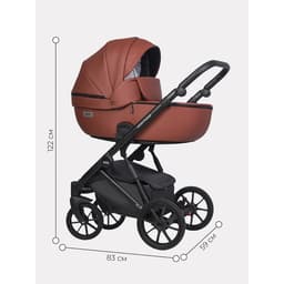 Коляска 2 в 1 Riko Montana Ecco, цвет maroon