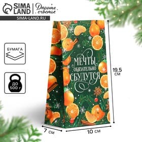 Пакет без ручек «Мечты обязательно сбудутся», 10×19.5×7 см, Новый год