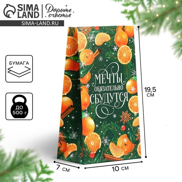 Пакет без ручек «Мечты обязательно сбудутся», 10×19.5×7 см, Новый год