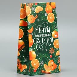 Пакет без ручек «Мечты обязательно сбудутся», 10×19.5×7 см, Новый год