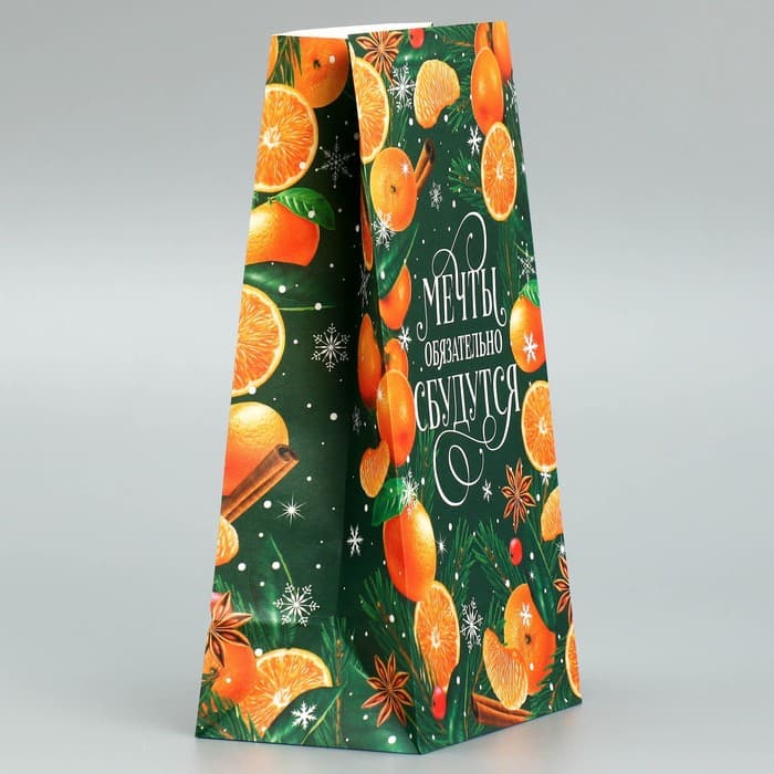 Пакет без ручек «Мечты обязательно сбудутся», 10×19.5×7 см, Новый год