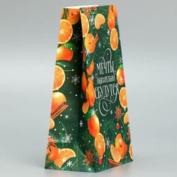 Пакет без ручек «Мечты обязательно сбудутся», 10×19.5×7 см, Новый год