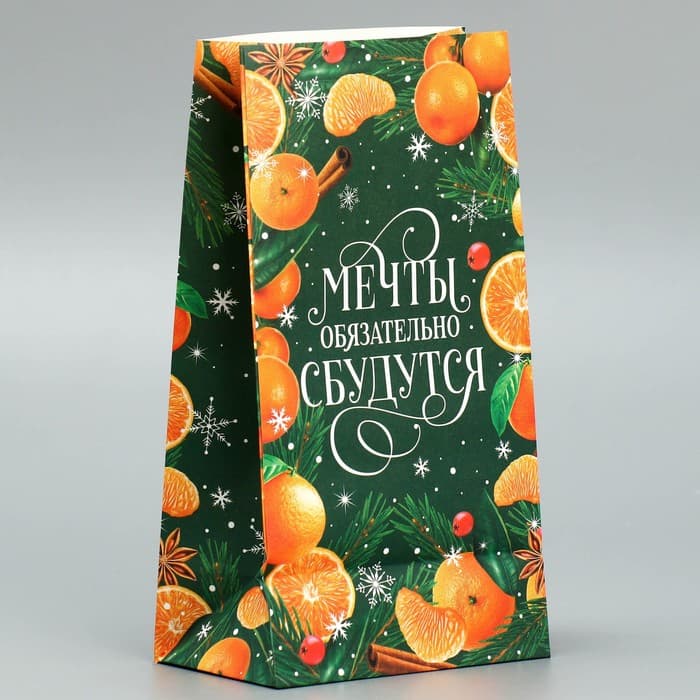 Пакет без ручек «Мечты обязательно сбудутся», 10×19.5×7 см, Новый год