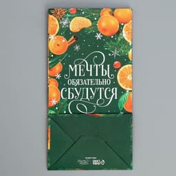 Пакет без ручек «Мечты обязательно сбудутся», 10×19.5×7 см, Новый год
