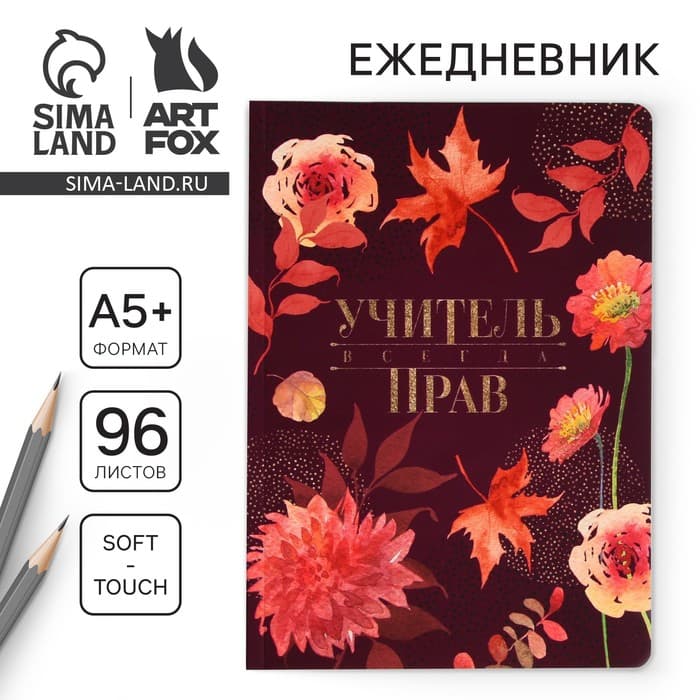 Ежедневник недатированный, А5+, 96 л., мягкая обложка, софт-тач «Учитель всегда прав»