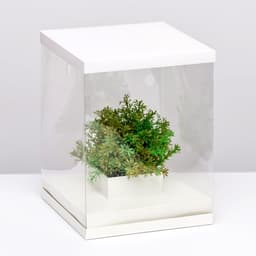 Коробка для цветов с вазой и PVC окнами, складная, 23×30×23 см, белый