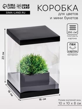 Коробка для цветов с вазой и PVC окнами, складная, 16×23×16 см, чёрный
