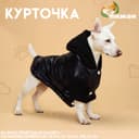 Куртка для собак «Спорт» с капюшоном, размер L, чёрная