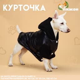 Куртка для собак «Спорт» с капюшоном, размер XL, чёрная