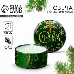 Свеча ароматическая, в железной банке «С Новым годом», еловые ветки, d=4.8 см
