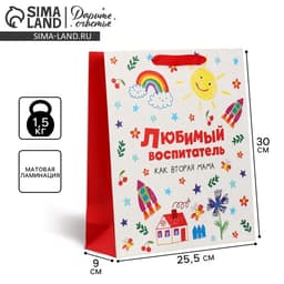 Пакет подарочный ламинированный, упаковка, «Любимый воспитатель», M 25.5 х 30 х 9 см