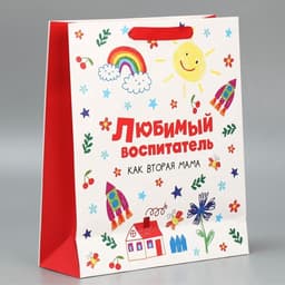Пакет подарочный ламинированный, упаковка, «Любимый воспитатель», M 25.5 х 30 х 9 см