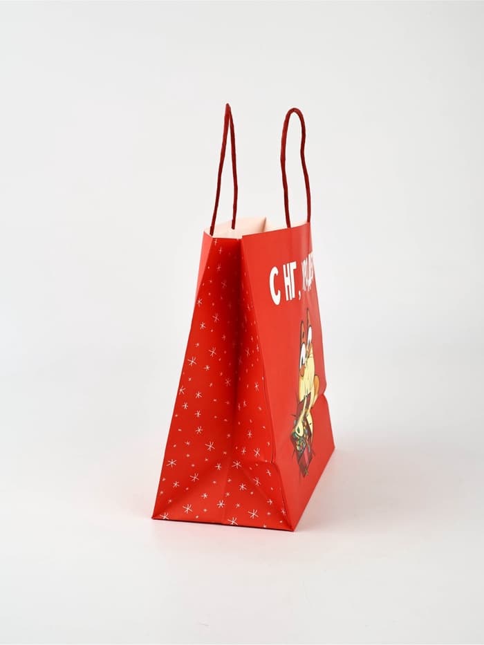 Набор пакетов подарочных «Новогодний праздник» 5 шт., 22×22×11 см