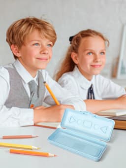 Пенал - футляр Calligrata «Прованс», 21×9×4.5 см, непрозрачный, пластиковый, МИКС