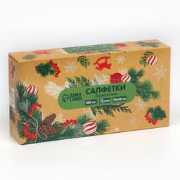 Салфетки бумажные в коробке «Новый год! Зимний уют», 100 шт., двухслойные