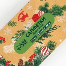 Салфетки бумажные в коробке «Новый год! Зимний уют», 100 шт., двухслойные