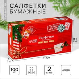 Салфетки бумажные в коробке «Новый год! Новогодняя посылка», 100 шт., двухслойные