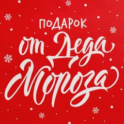 Набор новогодних пакетов «Новогодний подарок»