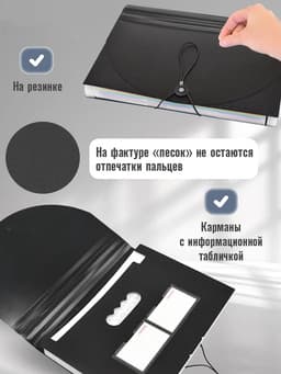 Папка 12 отделений, А4, с цветными разделителями, черная