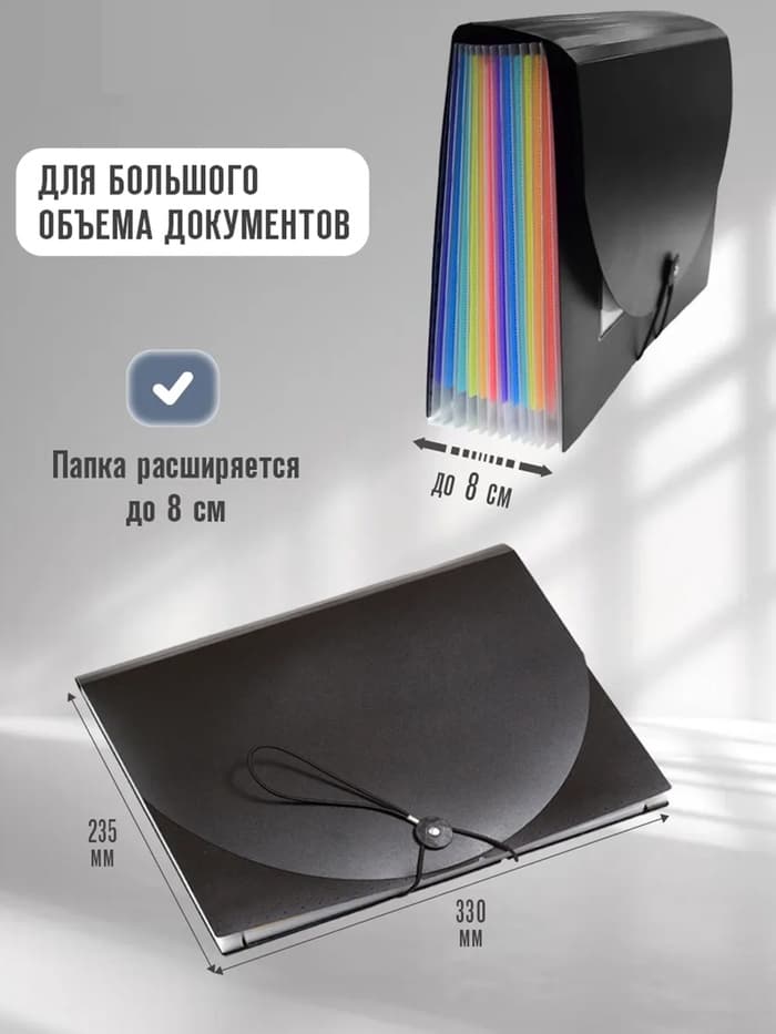 Папка 12 отделений, А4, с цветными разделителями, черная