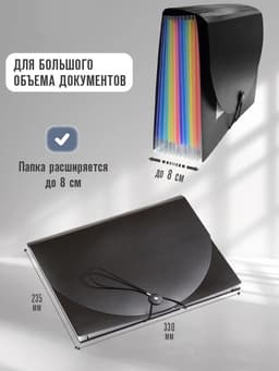 Папка 12 отделений, А4, с цветными разделителями, черная