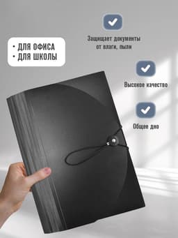 Папка 12 отделений, А4, с цветными разделителями, черная