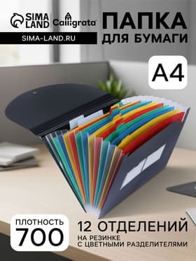 Папка 12 отделений, А4, с цветными разделителями, черная