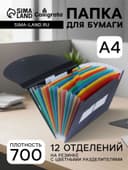 Папка 12 отделений, А4, с цветными разделителями, черная