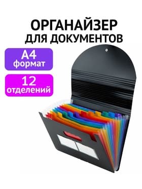 Папка для бумаги А4 на резинке пластиковая Calligrata, 12 отделений, черная