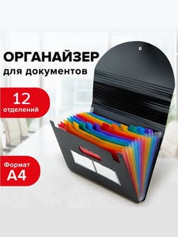 Папка для бумаги А4 на резинке пластиковая Calligrata, 12 отделений, черная