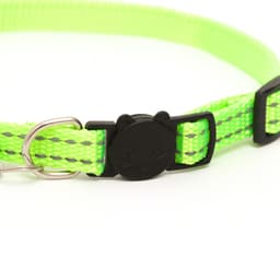 Ошейник кошачий светоотражающий, с серебряным бубенчиком, 19-32×1 см, зелёный