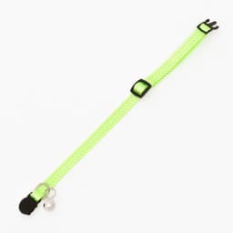 Ошейник кошачий светоотражающий, с серебряным бубенчиком, 19-32×1 см, зелёный