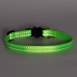 Ошейник кошачий светоотражающий, с серебряным бубенчиком, 19-32×1 см, зелёный