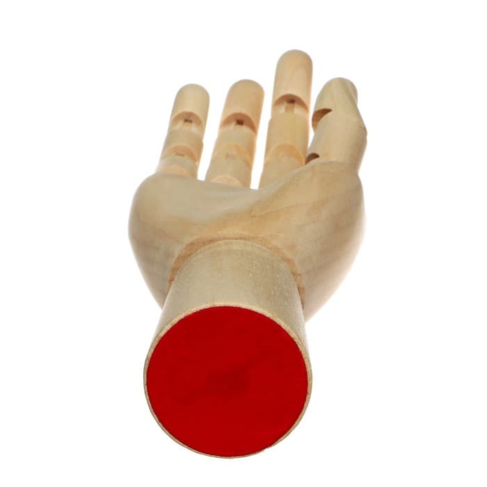 Модель деревянная Calligrata «Рука женская правая» 25 см