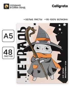 Тетрадь - словарик для записи иностранных слов, 48 листов в клетку, Calligrata