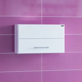 Шкаф подвесной «Омега», 500×300 мм, горизонтальный