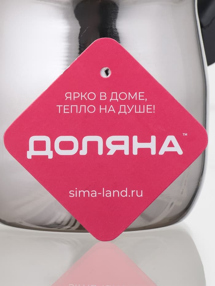 Турка Доляна «Индия», 600 мл, нержавеющая сталь