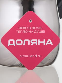 Турка Доляна «Индия», 600 мл, нержавеющая сталь