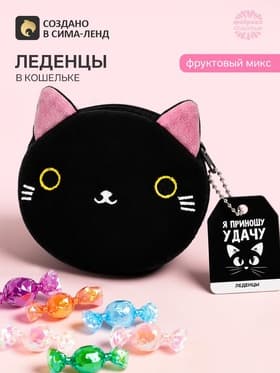 Леденцы «Приношу удачу» в кошельке, со вкусом винограда, 40 г