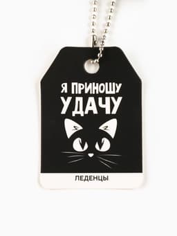 Леденцы «Приношу удачу» в кошельке, со вкусом винограда, 40 г
