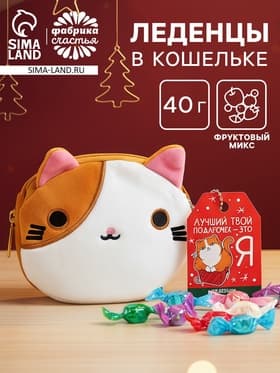 Леденцы «Лучший подарочек» в кошельке, со вкусом арбуза, 40 г