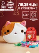 Леденцы «Лучший подарочек» в кошельке, со вкусом арбуза, 40 г