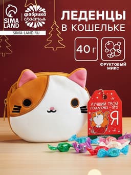 Леденцы «Лучший подарочек» в кошельке, со вкусом арбуза, 40 г
