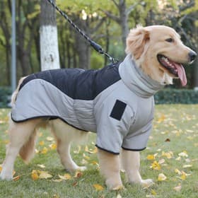 Куртка для больших собак, размер 3XL, ДС 50, ОШ 49, ОГ 69 см, мембрана, серая, чёрная